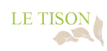 Logo de l'entreprise Le Tison affichant son nom en lettres vertes accompagné de pétales.