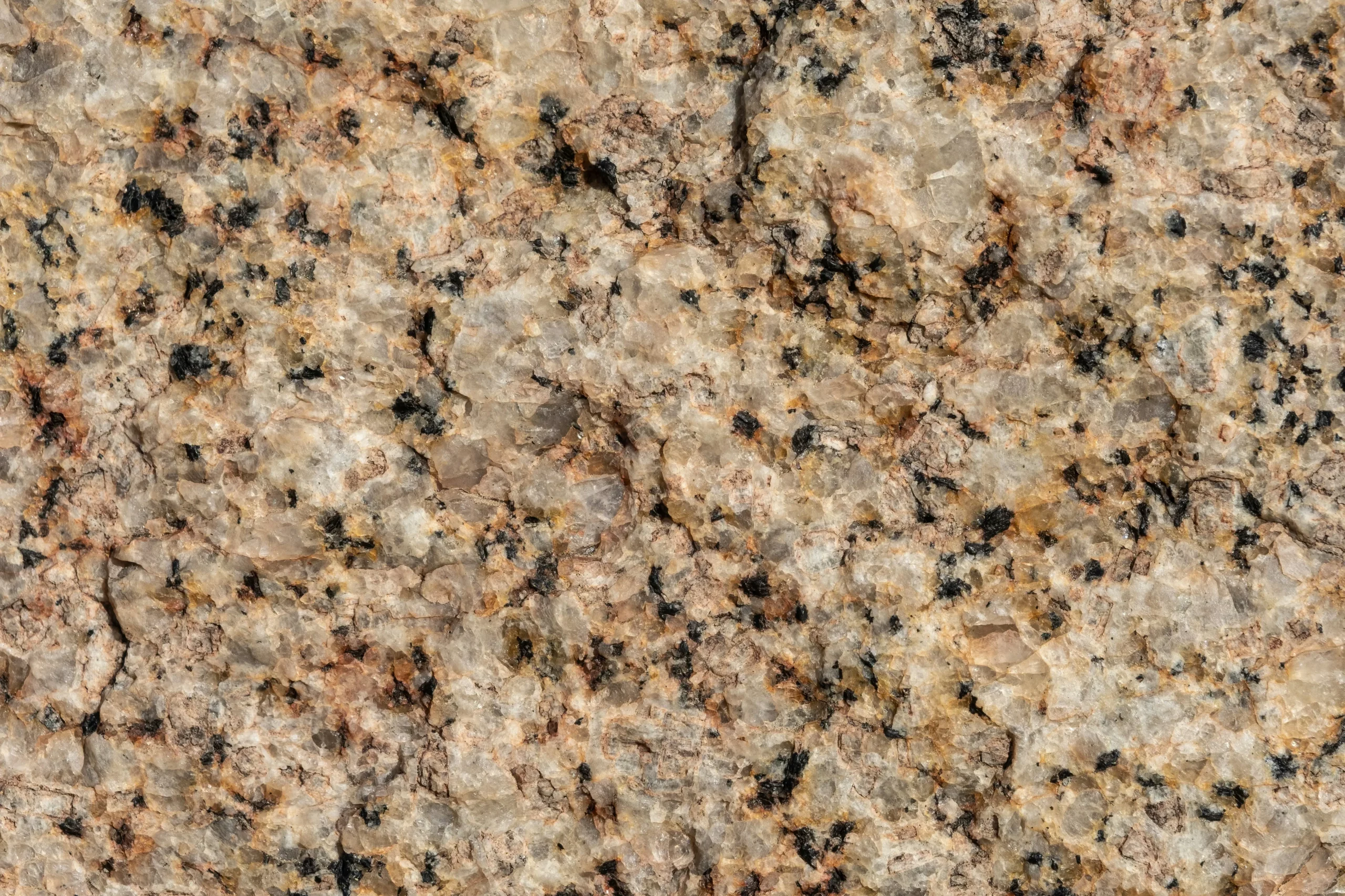 Texture rapprochée d'une surface en granit naturel beige aux grains noirs et dorés.